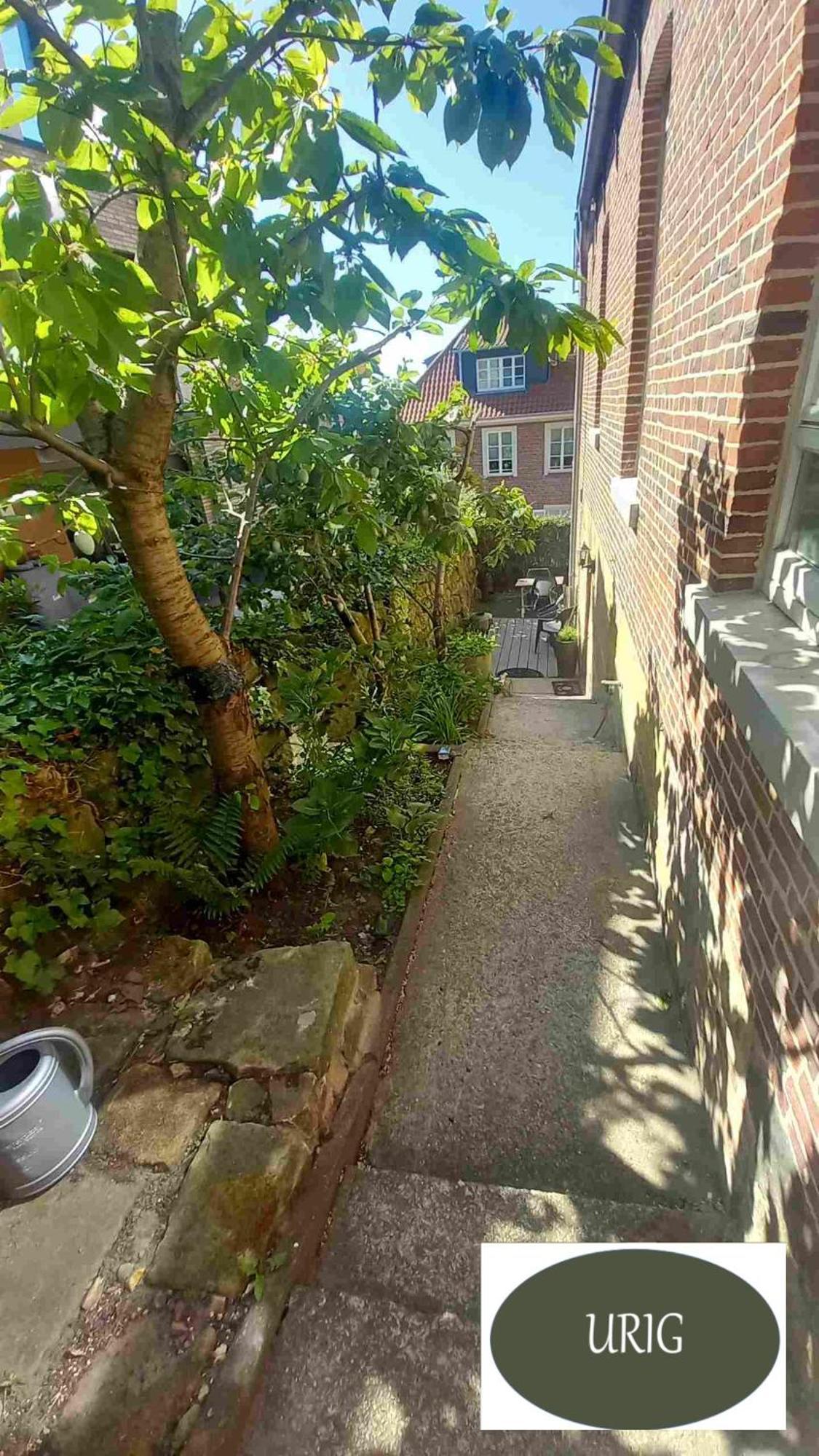 Bed Bentheim Apartamento Bad Bentheim Exterior foto